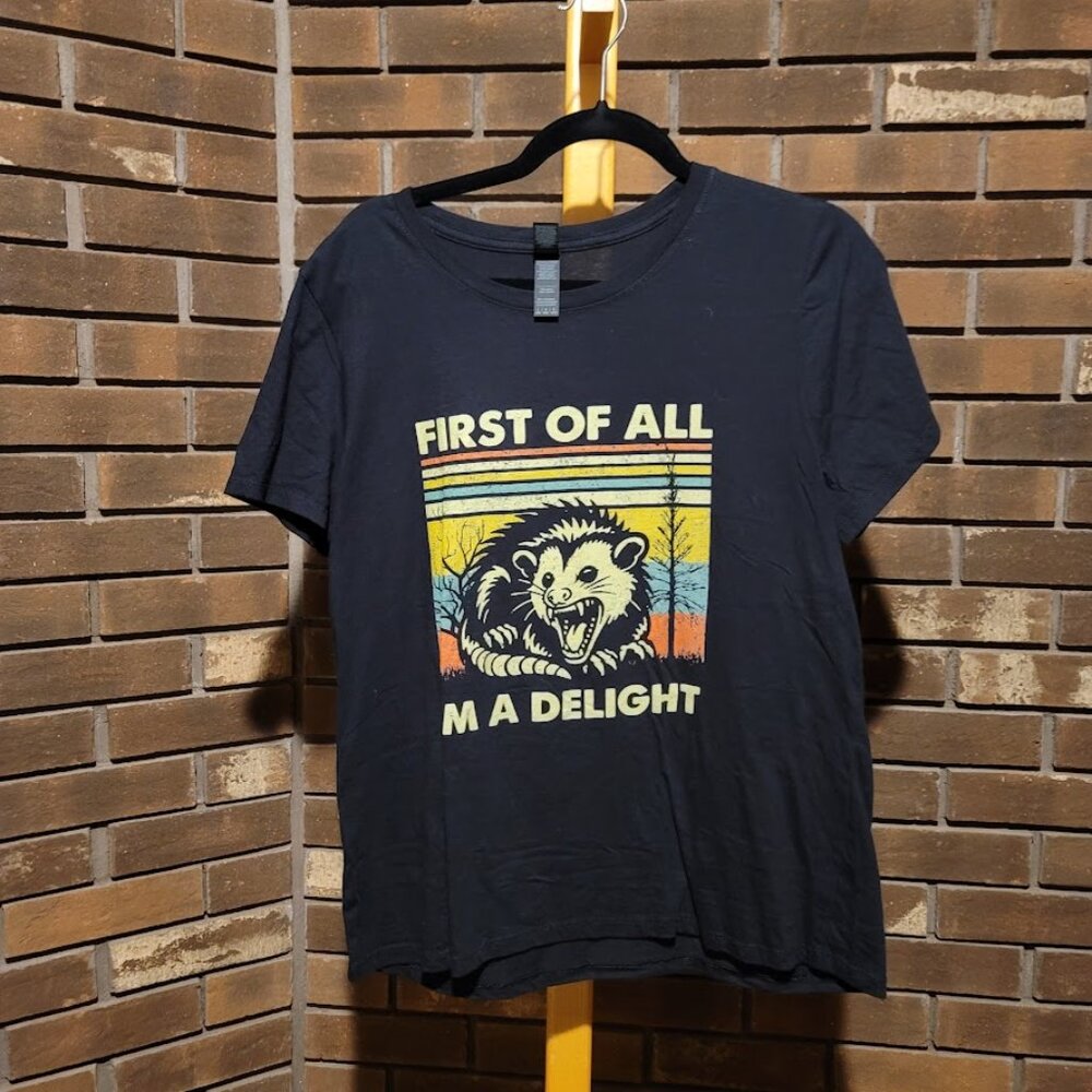 First Of All I'm A Delight Opossum Graphic Tee Retro Sunset Black Size Large